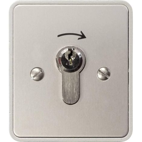 Kaiser-Nienhaus Interruptor con llave de aluminio seguro