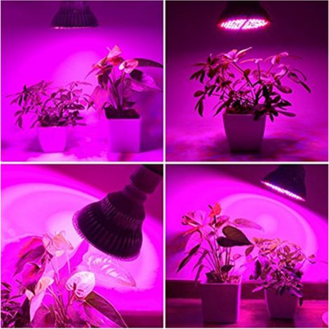 Lampe horticole à spectre complet 150 LED 100 W E27 pour la croissance des plantes en serre et la floraison (85-265 V)