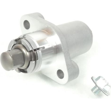 Steuerkettenspanner original für Motorrad Suzuki 650 SVS 1999 bis (1/5)