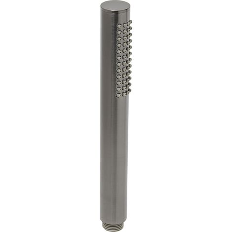 Swiss Aqua Technologies Teleducha Aurum 1 rociador, metal cepillado (SATBAURRSBGM)