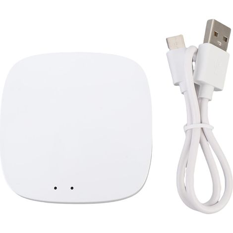 Prise en charge de la passerelle intelligente sans fil pour Zigbee 2.0 Hub d'appareil domestique WiFi Bridge télécommande blanc