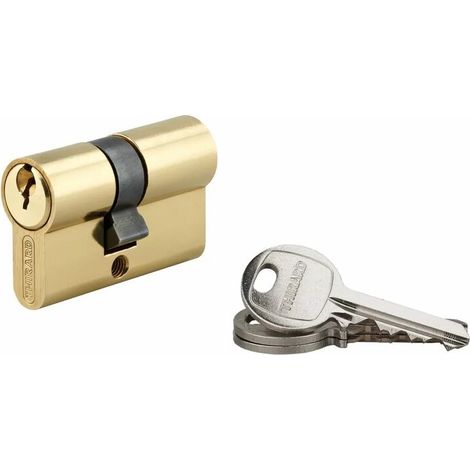 Cylindre de serrure double entrée SA 25x25mm – Anti-arrachement avec 5 goupilles – 3 clés en acier nickelé – Pour porte d'entrée (1/4)