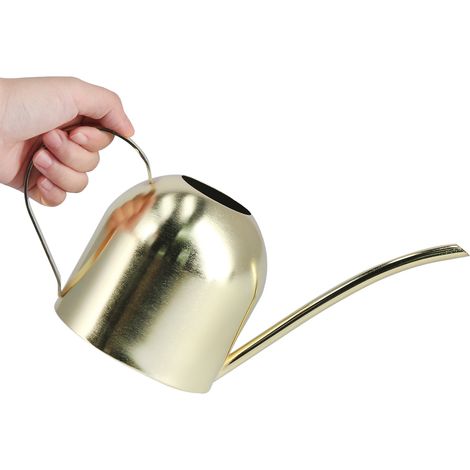 Arrosoir Vintage Acier Inoxydable Doré 1000ml Bec Arqué Design Rétro Intérieur Jardinage Familial Léger Durable (1/5)