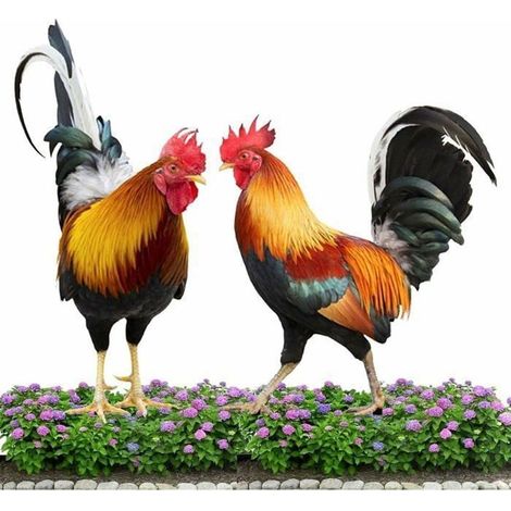 Gartenornamente – Acryl-Dekorationen – 2 Stück – Wetterfest – Charmant und farbenfroh (1/5)