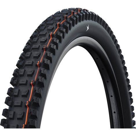 Pneu Vtt Tubeless 29 Pouces Albert Gravity Pro - Adhérence Renforcée Descente - Schwalbe