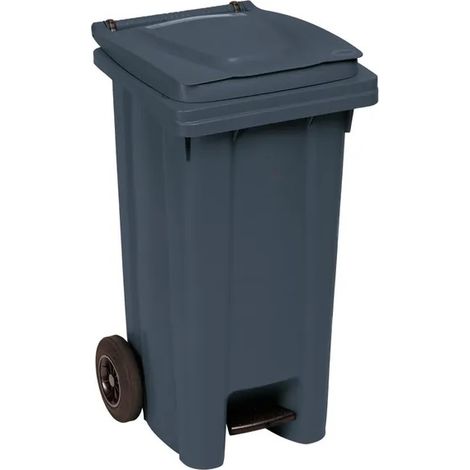 Bidone Immondizia Professionale a Pedale con Ruote Grigio Ferro 120 litri (1/6)