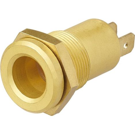 Unterputzsteckdose Din 12V Messing