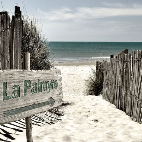 Tableau sur toile la Palmyre 30x30 cm - Impression sur Toile Murale Décorative - Image imprimée en HD sur Toile - Toile sur Châssis en Bois FSC - Fabriqué en France (1/4)
