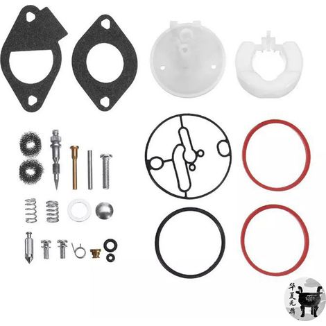 Kit de réparation de carburateur pour Briggs & Stratton 11-19 CV 796184 (1/5)
