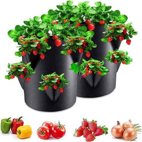30 x 35 cm - Lot de 2 sacs de plantation pour l'extérieur - Avec 6 trous - En tissu non tissé respirant - Pour fraises et petits légumes - Pour balcon, terrasse (1/5)