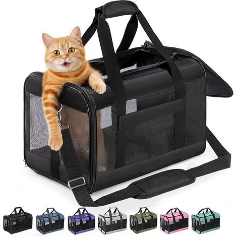 Soft Dog Carrier with Inner Lead for Cats and Puppies up to 7 kg, Foldable Travel Bag – Black, M (1/5)
