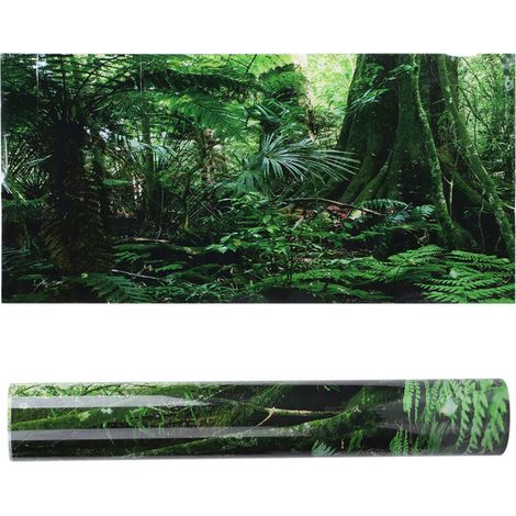 Décor adhésif PVC pour terrarium - Fond imprimé forêt tropicale 76x46 cm - Sticker aquarium reptile