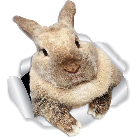 Sticker décoratif 3D lapin BESPORTBLE autocollant et (1/5)