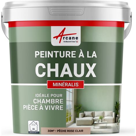 Peinture chaux, naturelle : peinture sans émanation, mineralis - 30 m² (5 kg en 1 couche) Pêche Rose Clair - ARCANE INDUSTRIES