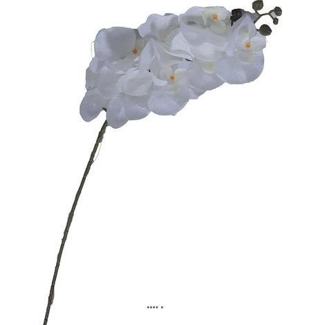 Branche de fausse orchidée pour décoration L 100 cm Blanc - couleur: Blanc neige