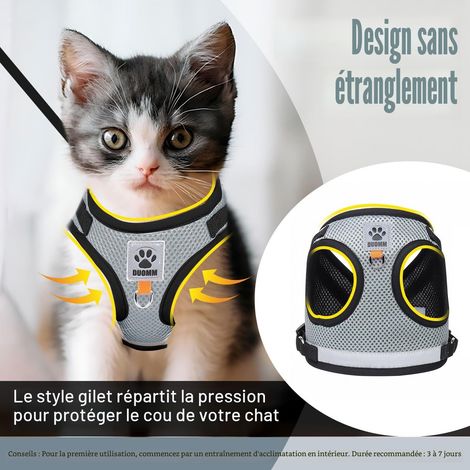 Harnais pour chat avec laisse réglable, gilet respirant réfléchissant anti-évasion pour chaton et petit chien (1/5)