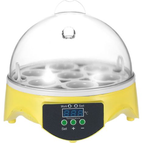 lyshtar Incubatrice automatica intelligente per uova 7 uova Ac220V Eu Plug (1/5)