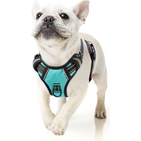 Harnais Chien, Harnais Chien Anti Traction, Réfléchissant, avec Poignée Rembourrée Contrôl, 2 Anneaux Métal, Harnais pour Petit Moyen et Grand Chien, Turquoise, S (1/5)