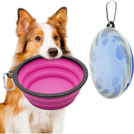Lot de 2 grands bols pour chien pliables 1000 ml, gamelles de voyage couleur bleu et violet pour animal domestique (1/5)
