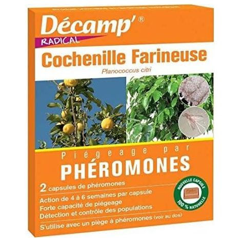 Phéromone contre les cochenilles farineuses – Insecticide biologique – Attire les mâles pour limiter la reproduction – Durée d'action 4 à 6 semaines – Décamp'