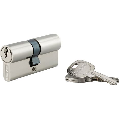 Cylindre de serrure double entrée 25x35mm – Protection anti-arrachement – 3 clés fournies – Pour portes de cabanons
