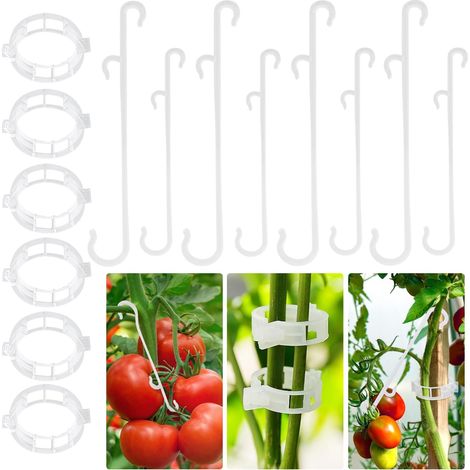 Crochets de Support pour Tomates Crochets de Support de Tomate 100PCS Crochet de Support en Forme Tomates 60PCS Clips de Support pour Plantes (1/5)