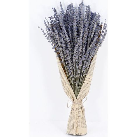 1 brin de lavande séchée, bouquet de fleurs de lavande naturelles, tiges de 43 cm