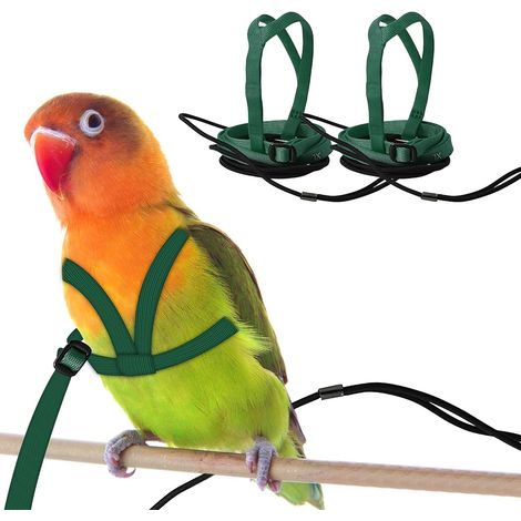 Lot de 2 Harnais et Laisses Réglables pour Perroquets – Taille M – Design Anti-Morsure pour l’Entraînement – Convient aux Oiseaux de 24 à 51 cm – Vert (1/5)
