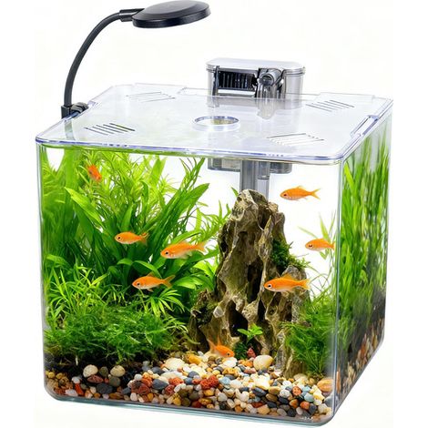 Aquarium complet avec éclairage LED et filtre, kit aquarium nano en acrylique pour poissons et plantes, idéal pour bureau ou décoration