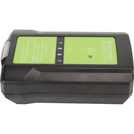 Chargeur 40 V avec indicateur de luminosité LED, sortie USB et chargeur de batterie au lithium pour Greenworks 29472, 29482, 29462 et 29252 (1/5)