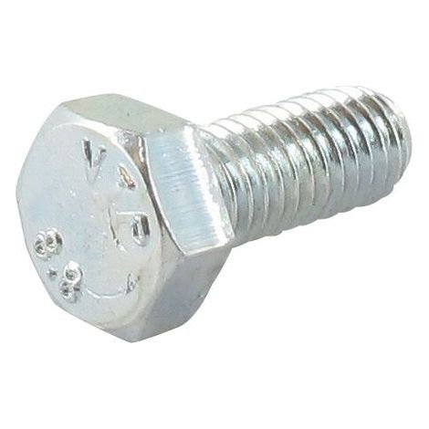 Vis à tête hexagonale M5x12mm GGP - CASTELGARDEN 112789000/0