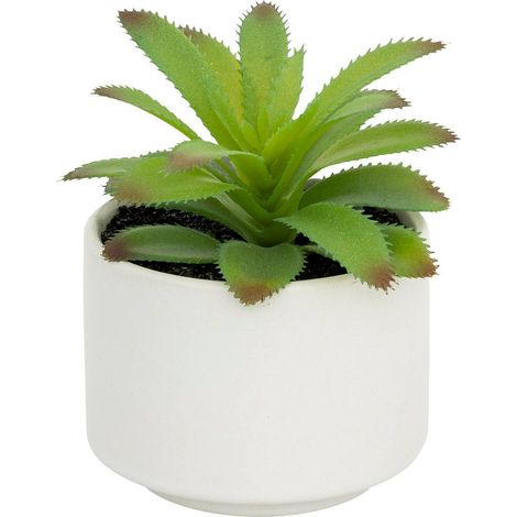 Pianta grassa in vaso H13 - Modello a bianco - Atmosphera créateur d'intérieur