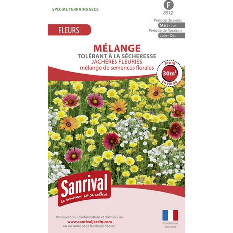 Mélange de graines Tolérance Sècheresse