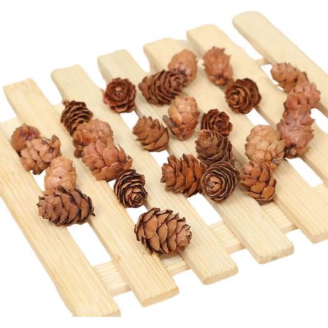Pommes de pin naturelles, de taille moyenne sélectionnées à la main pour la décoration intérieure, ornements en pommes de pin idéaux pour les projets de bricolage et la création d'une ambiance de Noël (1/4)