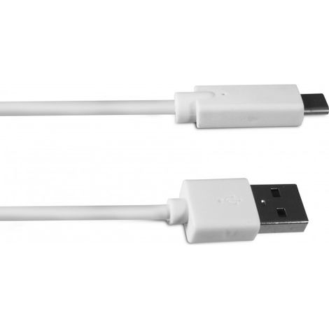 Câble USB-C mâle/USB-A mâle 2.0 - 1 m - blanc (1/3)