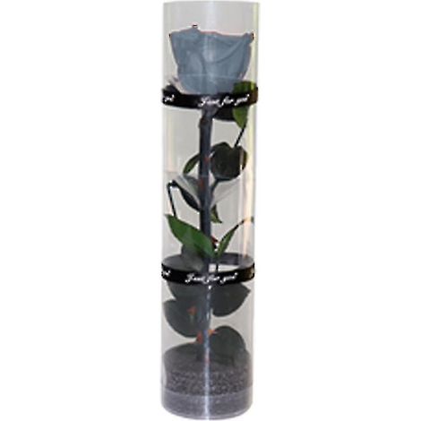 Une véritable rose préservée, rose éternelle, rose durable, rose à floraison éternelle (1/5)