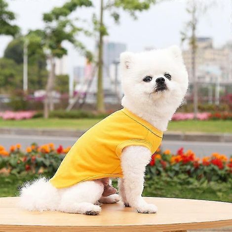 Ropa de verano para mascotas, para perros pequeños y medianos, camiseta de algodón lisa, accesorios para perros, artículos para mascotas, chaleco para gatos, camisetas amarillas (1/5)