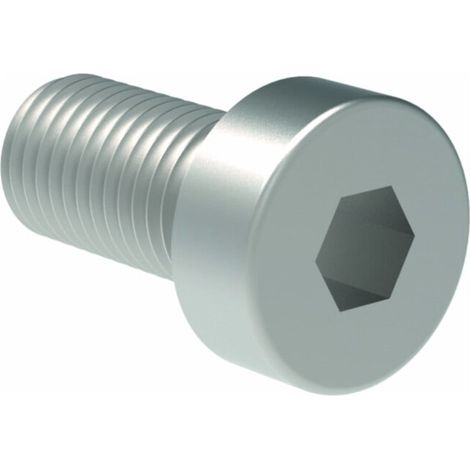 Vis à tête cylindrique Gesipa pour pièces de rechange DIN 7984 M8x20 8,8 zinguée