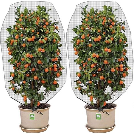 Paquete de 2 redes antiinsectos y antipájaros con cordón - 150 x 100 cm - Protección para plantas de jardín, frutas, cítricos y flores contra insectos y pájaros (1/5)