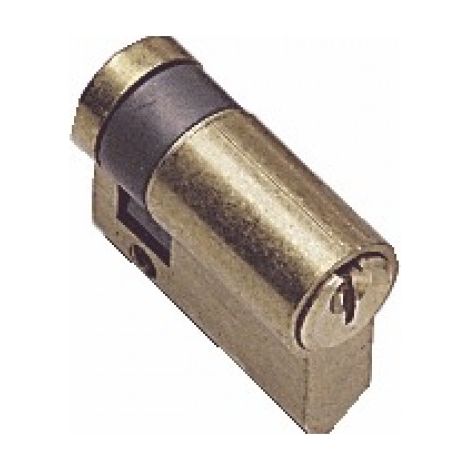 Cylindre TE5 30 x 10 indexable. laiton poli. varié - TESA SA