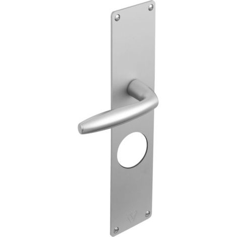 Poignée à béquille extérieure pour EXCLUSIVE A2P - ASSA ABLOY VACHETTE A2P Argent 300 70