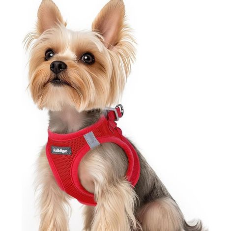 Harnais Chien Petite Taille Rouge XS, Harnais Chiot Respirante en Maille Souple, Arnet pour Chien Réfléchissant Facile à Mettre, Gilet Réglable pour Petits et Moyens Chiens pour Marche (1/5)
