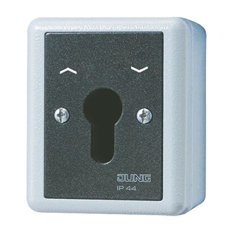 Jung Interruptor de llave para persianas, pulsador de inversión, 2 polos (2 accionamientos), IP 44, WG 800 834.28 G
