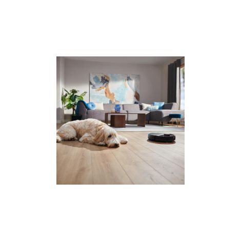 Philips Homerun Kit de Remplacement serie 7000  2 filtres lavables, Brosse Principale, brossette laterale, compatibilite XU7000 et XU7100 (XV1473/00)