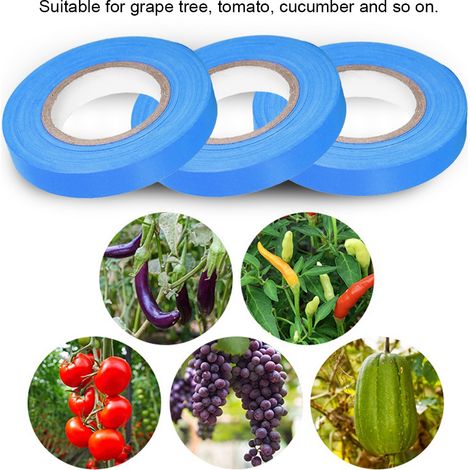 20 Stück Anti-Aging-Gartenbänder aus elastischem Material für Weinreben, Tomaten und Gurken (Blau) (1/5)