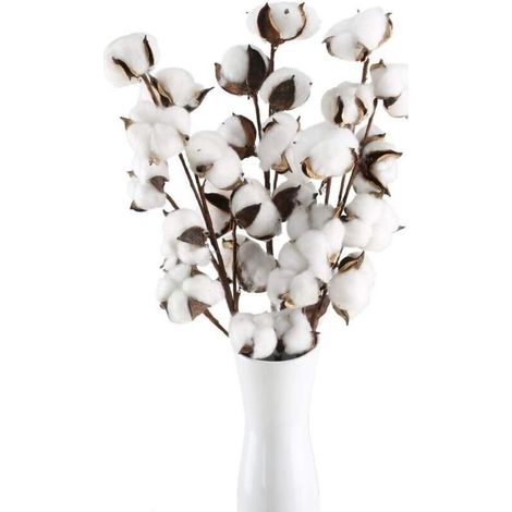 Fleurs de Coton Naturelles Séchées – 10 Têtes sur Tiges, Fausses Fleurs Artificielles pour Décoration de Balcon, Mariage et Table (1/4)