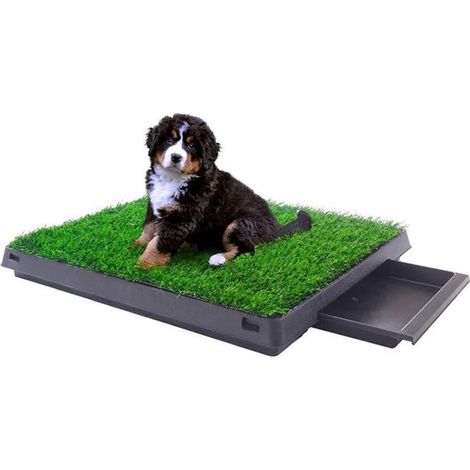 Tapis d'intérieur pour chien – Herbe synthétique avec bol – Plateau amovible – Balcon, jardin, intérieur – 50x64 cm (1/5)