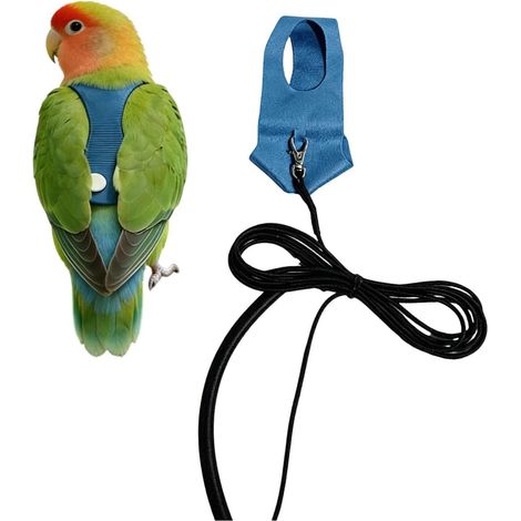 Harnais Perroquet Laisse D'Entraînement Calopsitte Harnais de Promenade Conure - Propriétaires Dresseurs Promenades Jardin Parc Vétérinaire Plage Randonnée Pique-Nique Lieux Publics (1/5)