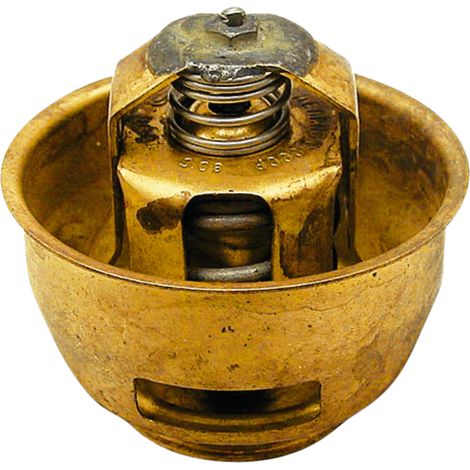 Termostato 80°C 65mm 700TS109 Bielorussia TS1091306100