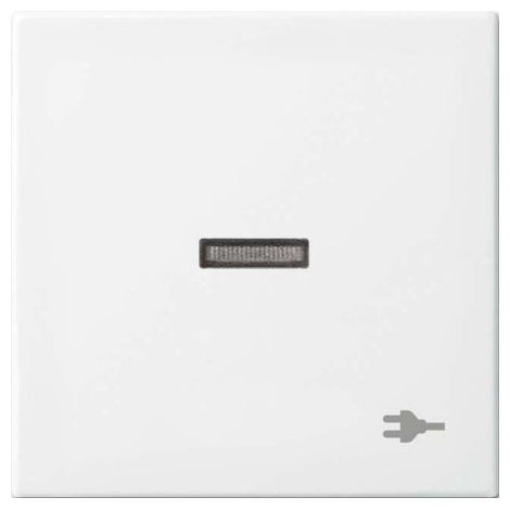 BUSCH-JAEGER 1731-0-2018 PLAQUE DE COMMUTATION ET OBTURATEUR